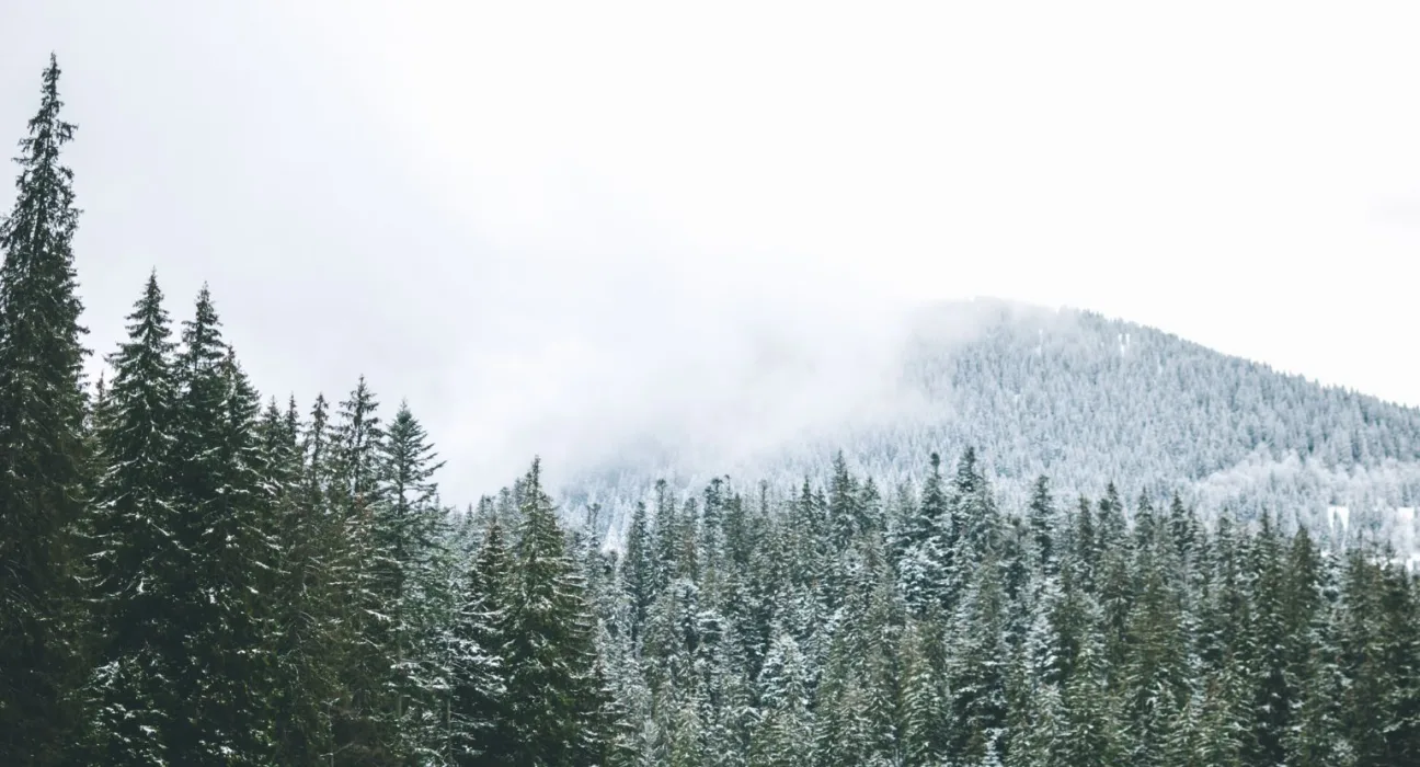 Відпочинок на Закарпатті з дітьми