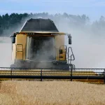 Як обрати іграшку, що розвиває критичне мислення, а не просто займає місце на полиці?